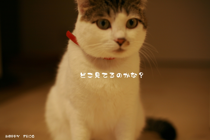 f0032042_2063233.jpg