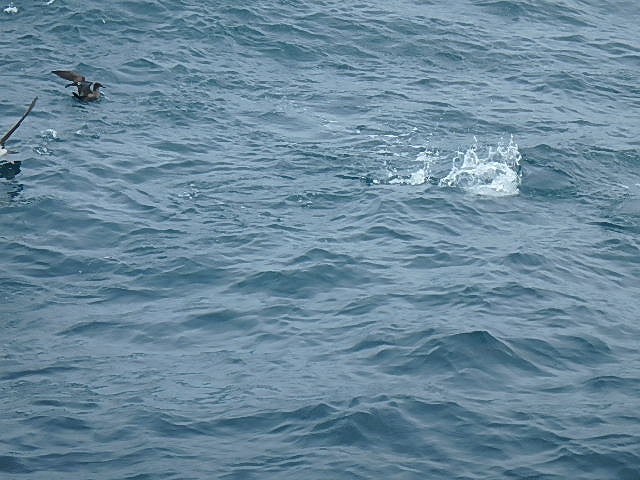 a0248152_17133640.jpg