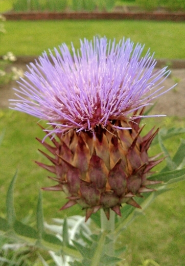 a0018655_14174148.jpg