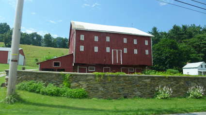 b0180156_1528145.jpg