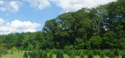 b0180156_15301427.jpg