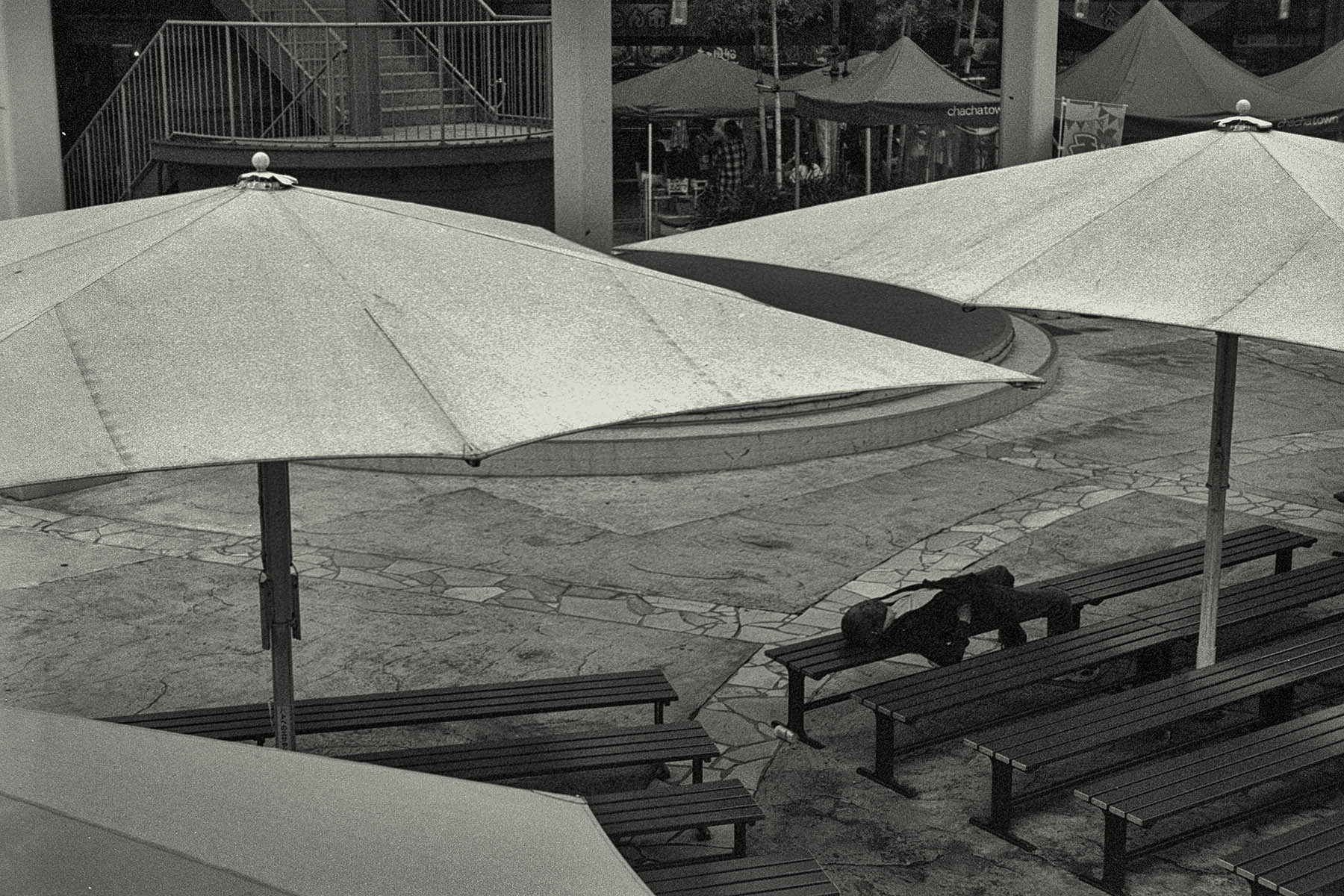 c0028861_23322011.jpg