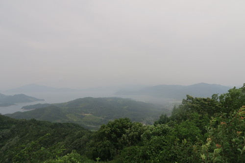 d0029363_5385819.jpg