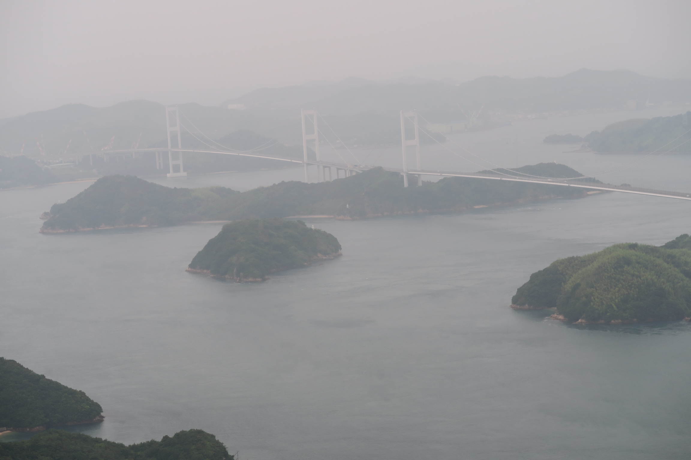 d0029363_5395814.jpg