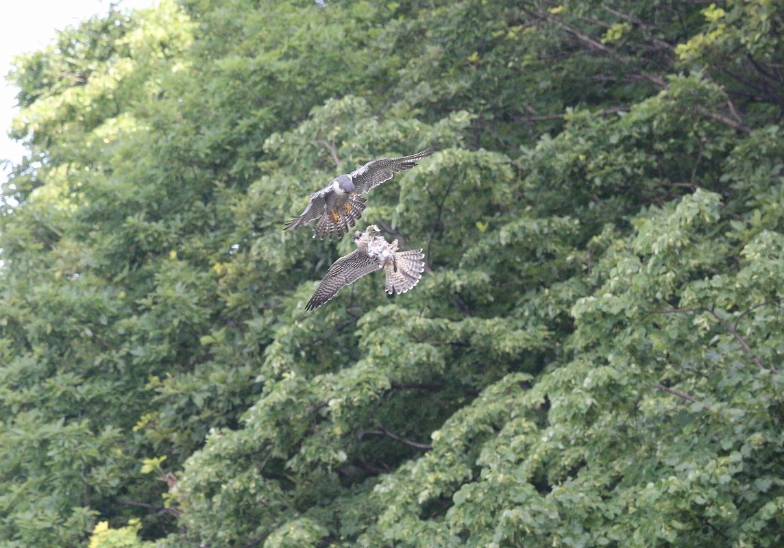 f0347565_14570070.jpg