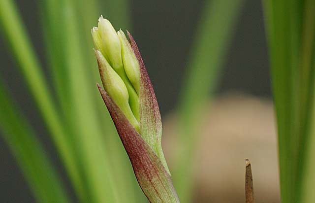 c0068168_9312043.jpg