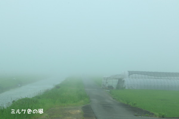 c0368870_20340877.jpg