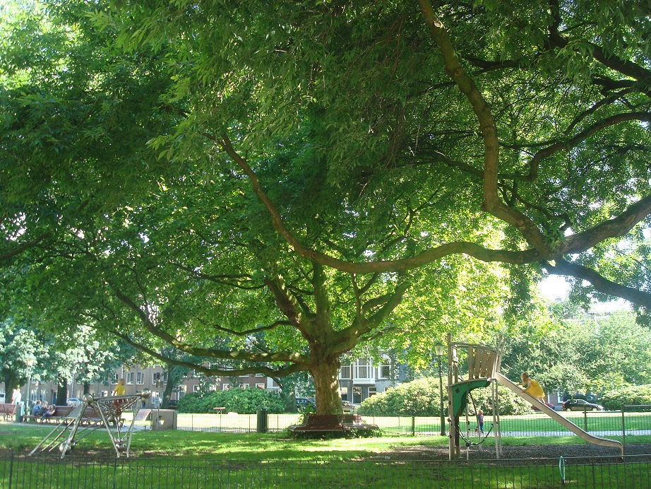 a0123372_050945.jpg