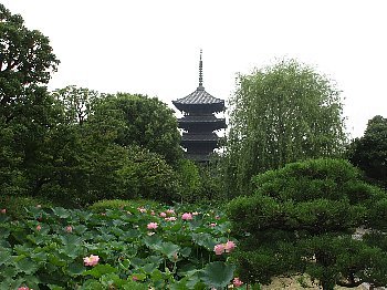 f0003283_04532033.jpg