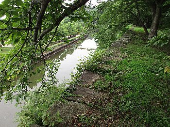 f0003283_10554061.jpg