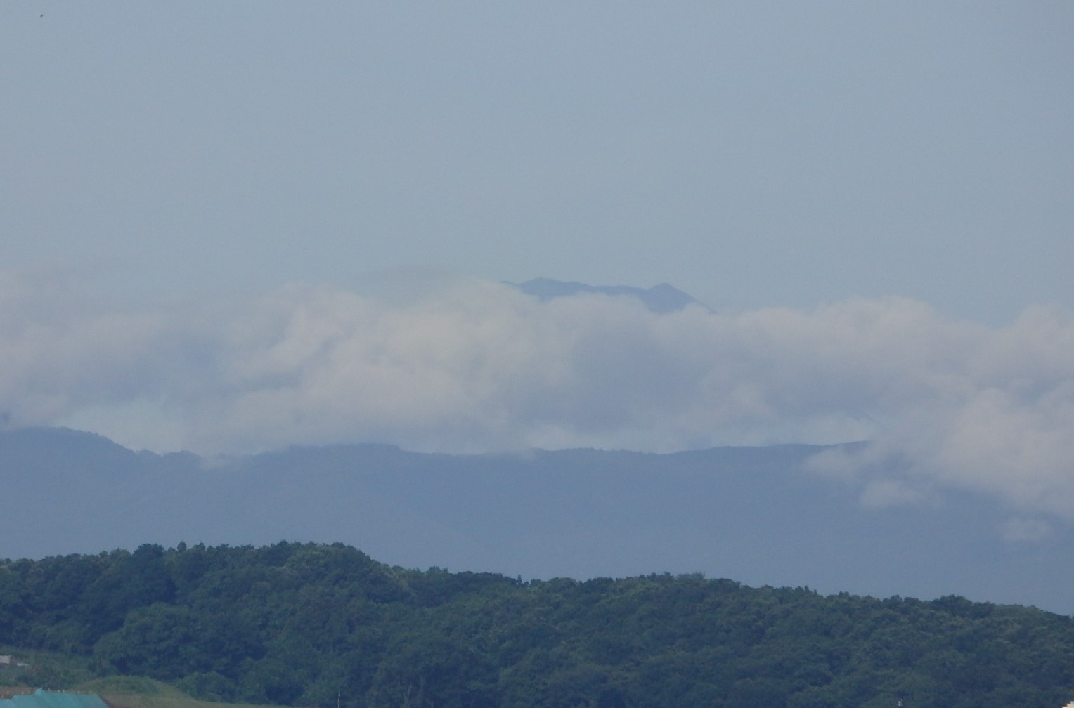 b0197486_939348.jpg