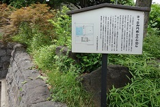 d0183387_12283838.jpg