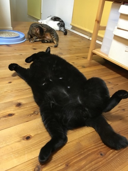 c0011300_23091434.jpeg