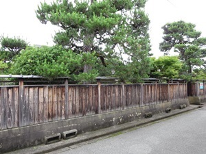 d0240201_14222014.jpg