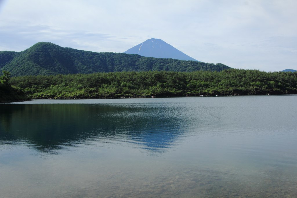 a0188405_08053136.jpg