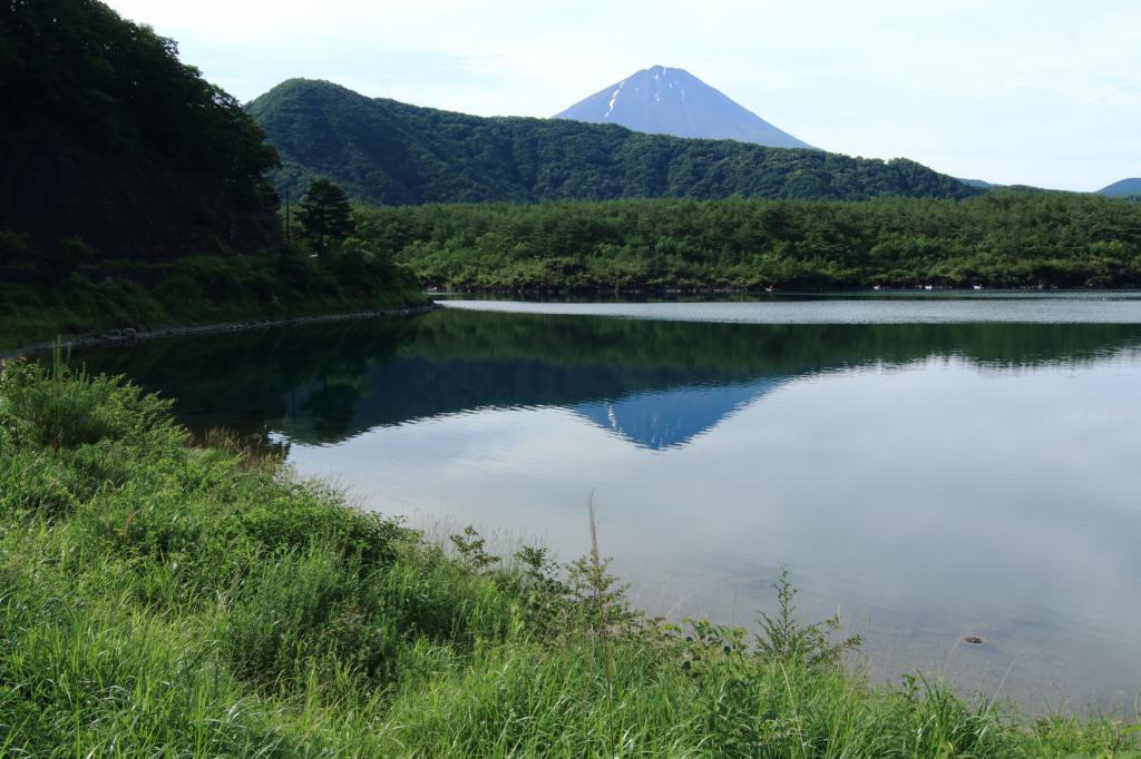 a0188405_08054221.jpg