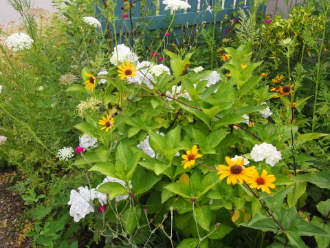 c0117007_20231923.jpg