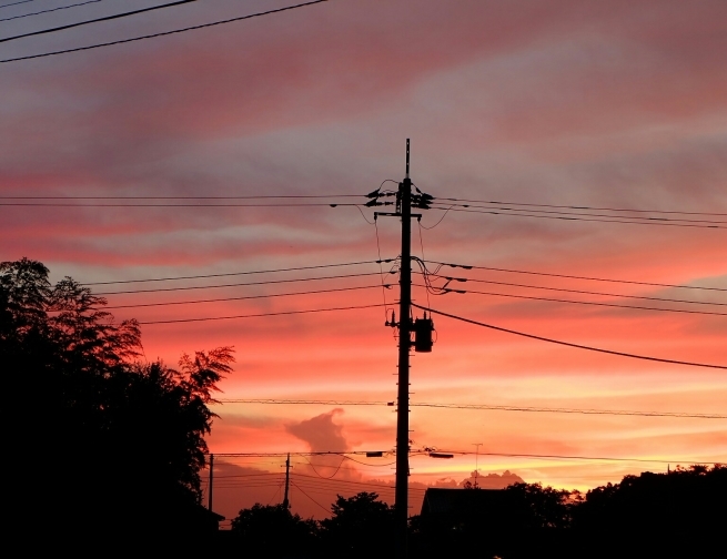 f0113108_22274488.jpg