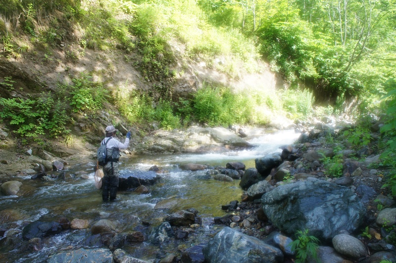 e0165011_21291265.jpg