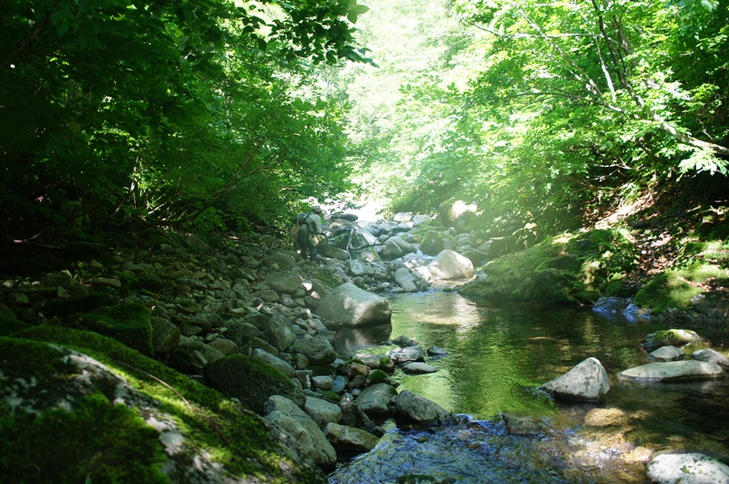 e0165011_21312783.jpg