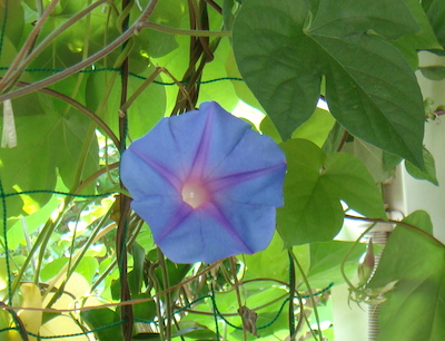 a0019212_2222145.jpg
