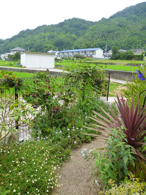 f0228619_12441051.jpg
