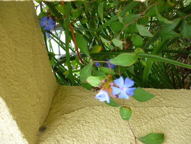 f0228619_12454364.jpg