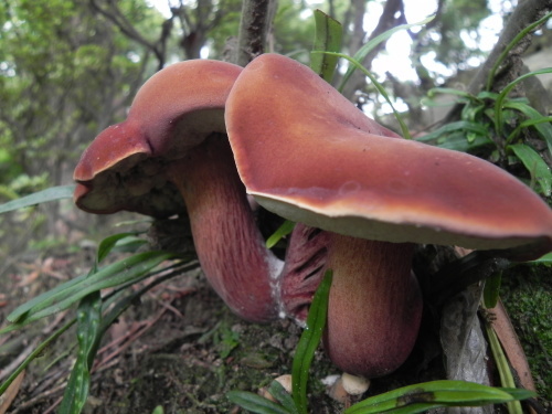 e0352220_23051655.jpg