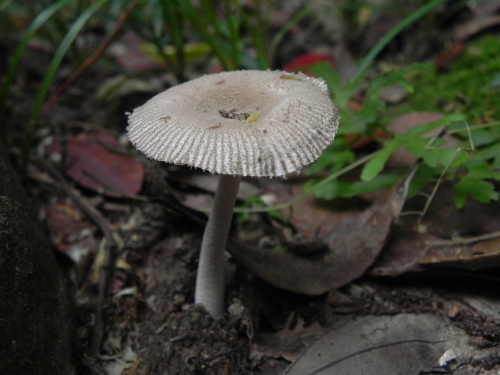 e0352220_23080096.jpg
