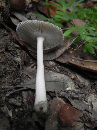e0352220_23082999.jpg