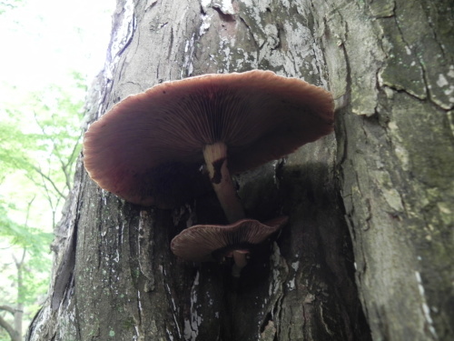 e0352220_23145005.jpg