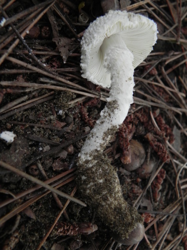 e0352220_23203034.jpg