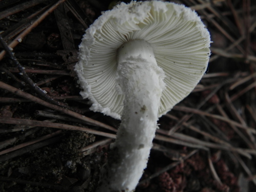 e0352220_23211232.jpg