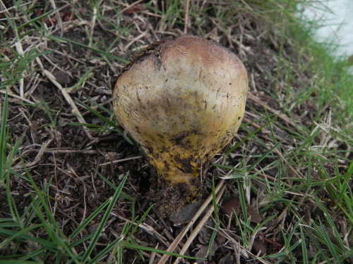 e0352220_23224502.jpg