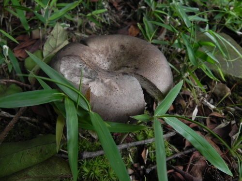 e0352220_23273814.jpg