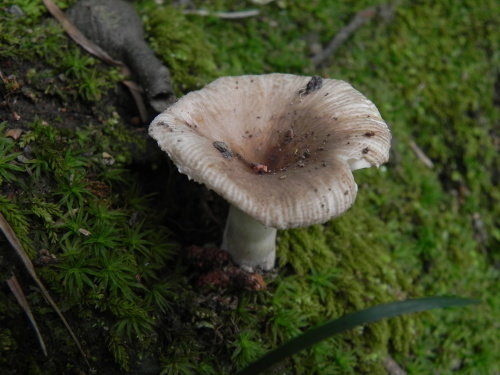 e0352220_23302217.jpg