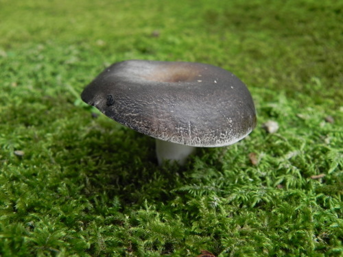 e0352220_23313464.jpg
