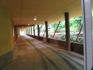 c0013922_17310963.jpg