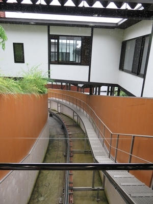 c0013922_17344569.jpg