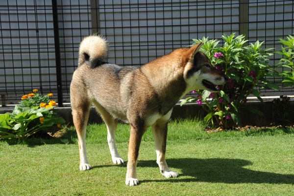 f0143123_1334417.jpg