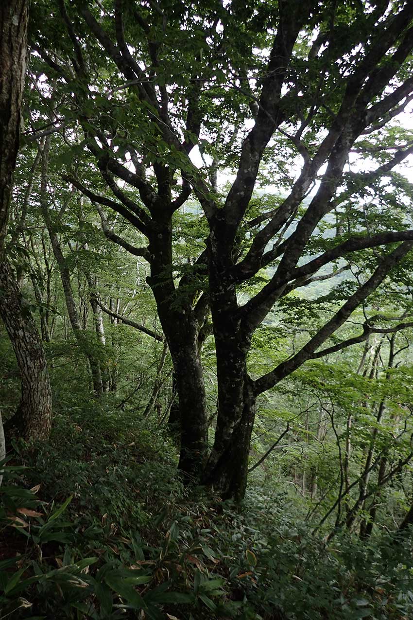 c0064025_1838142.jpg