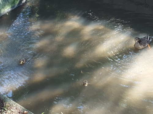 e0016828_10455364.jpg