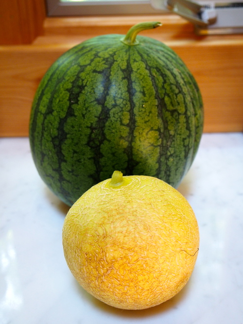 a0267332_1433627.jpg