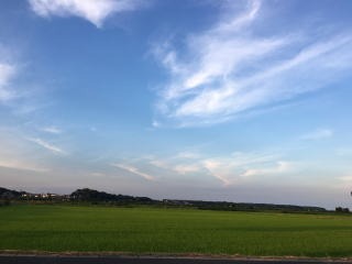 b0040332_18303670.jpg