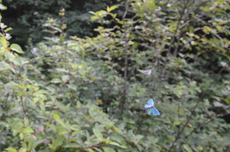 c0353632_17053693.jpg