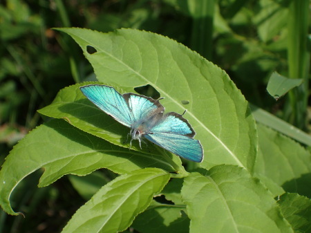 c0353632_17094222.jpg