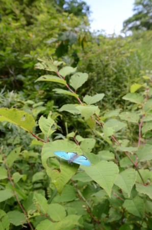 c0353632_17191598.jpg