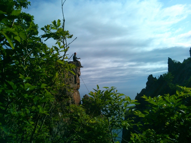 d0107938_1540918.jpg