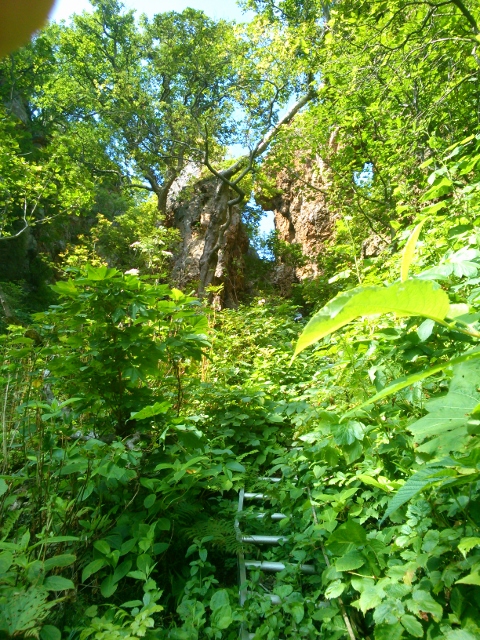 d0107938_15452236.jpg