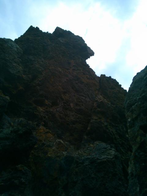d0107938_1636651.jpg